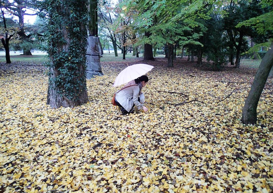 雨の中で葉っぱを拾い集める女性
