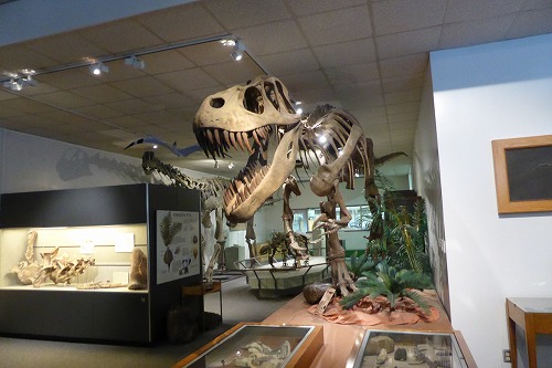 BYU恐竜博物館