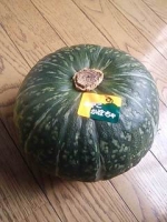 かぼちゃ 北海道美深産 みやこ01